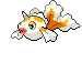 Goldeen
