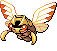 Ninjask