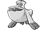 Pelipper