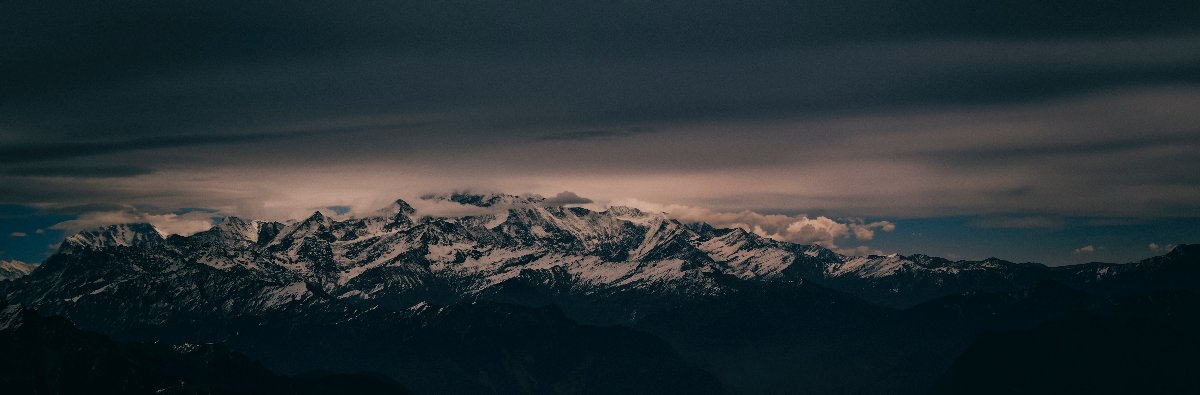 Banner image